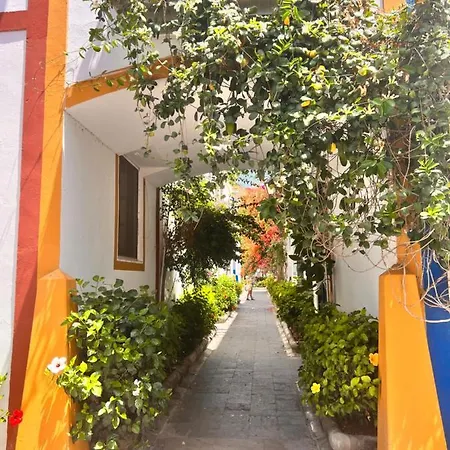 Yumbo Camelias * Playa del Inglés