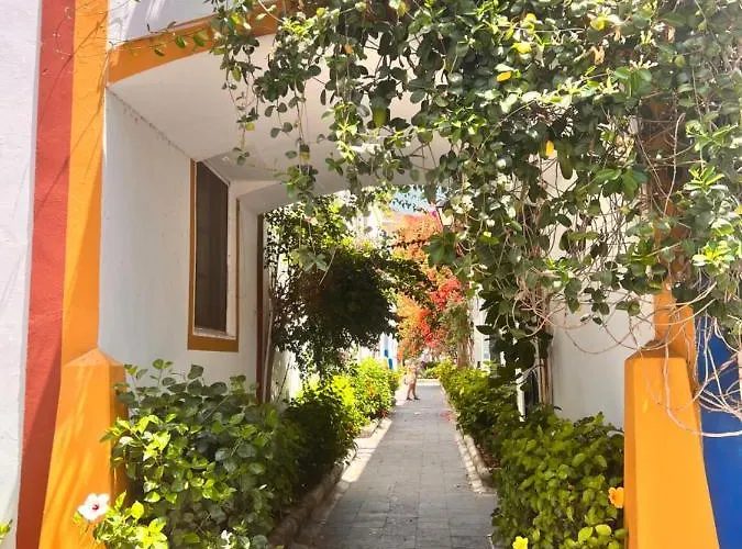 Yumbo Camelias * Playa del Inglés